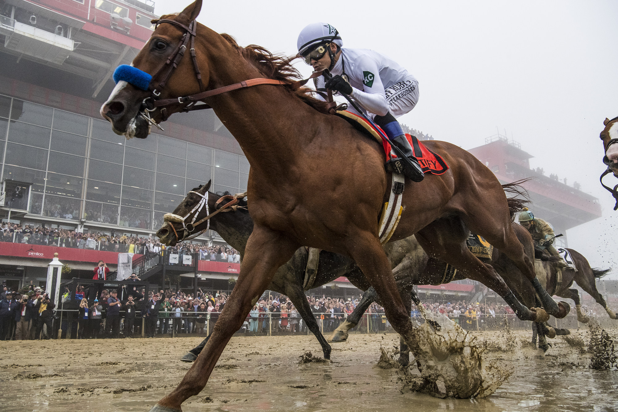 Is Justify a Good Bet to Win the Triple Crown?