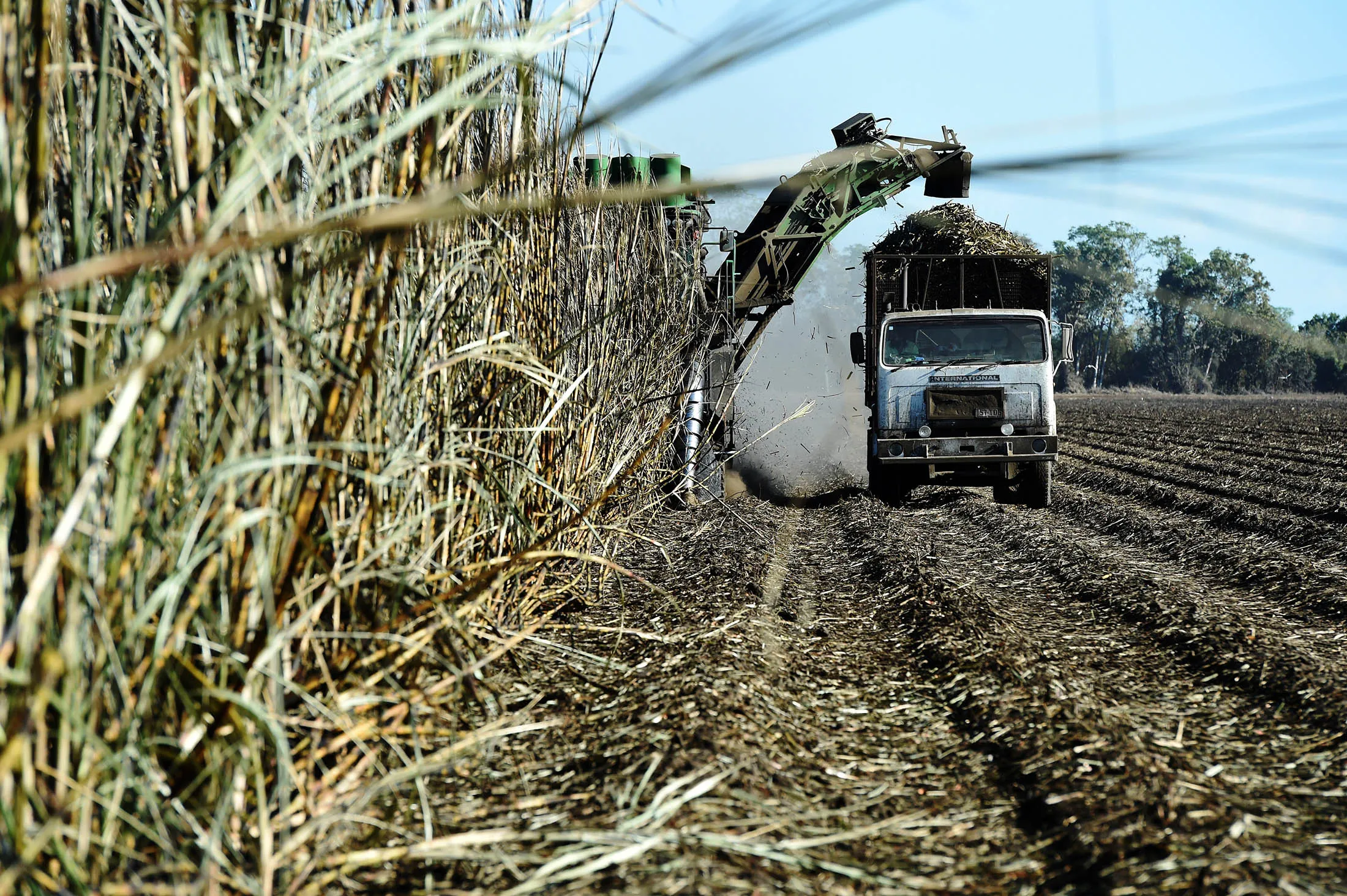 A harvester loads a truck with sugarcane at a plantation near Ayr, Queensland, Australia, on Sunday, Aug. 9, 2015. Global sugar prices reached a six-year low in August as rising production levels and exports from countries like Brazil and India has put pressure on prices.
