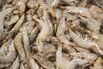 Inside a Vanguard Supermarket as China's Exports Are Homeward Bound
