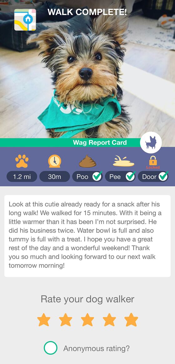 All Those Pandemic Puppies Mean Business for Dog-Walking Apps