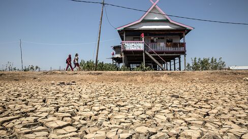 A dried up rice field in Makassar, Indonesia, that the Indonesia's national disaster management agency says was the result of the El Nino weather phenomenon.