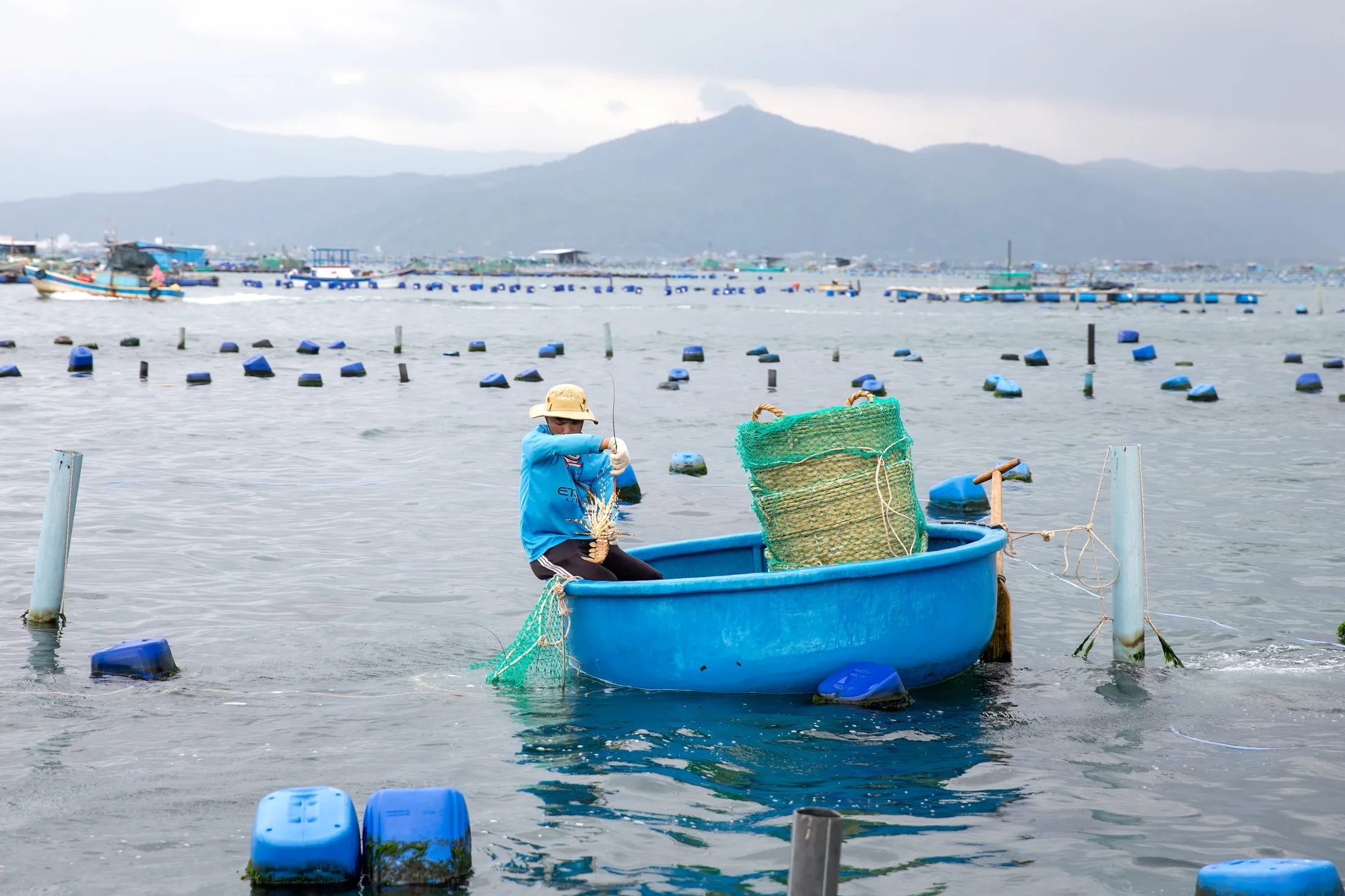 Lobster farming&nbsp;in Song Cau, Vietnam, in December.&nbsp;About 90% of Song Cau’s lobster output gets shipped to China.