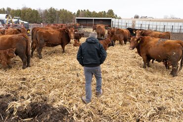 Iran War Cost Spike Straining Farmers Ahead Of Midterm Elections
