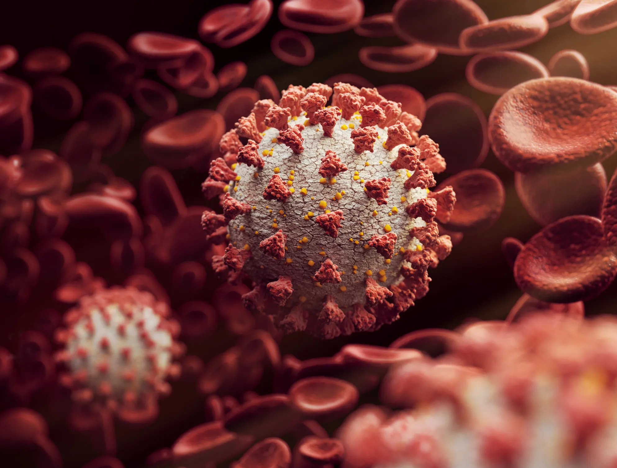 The most prudent path is to assume&nbsp;the virus that causes Covid-19 is as deadly and dangerous as ever.