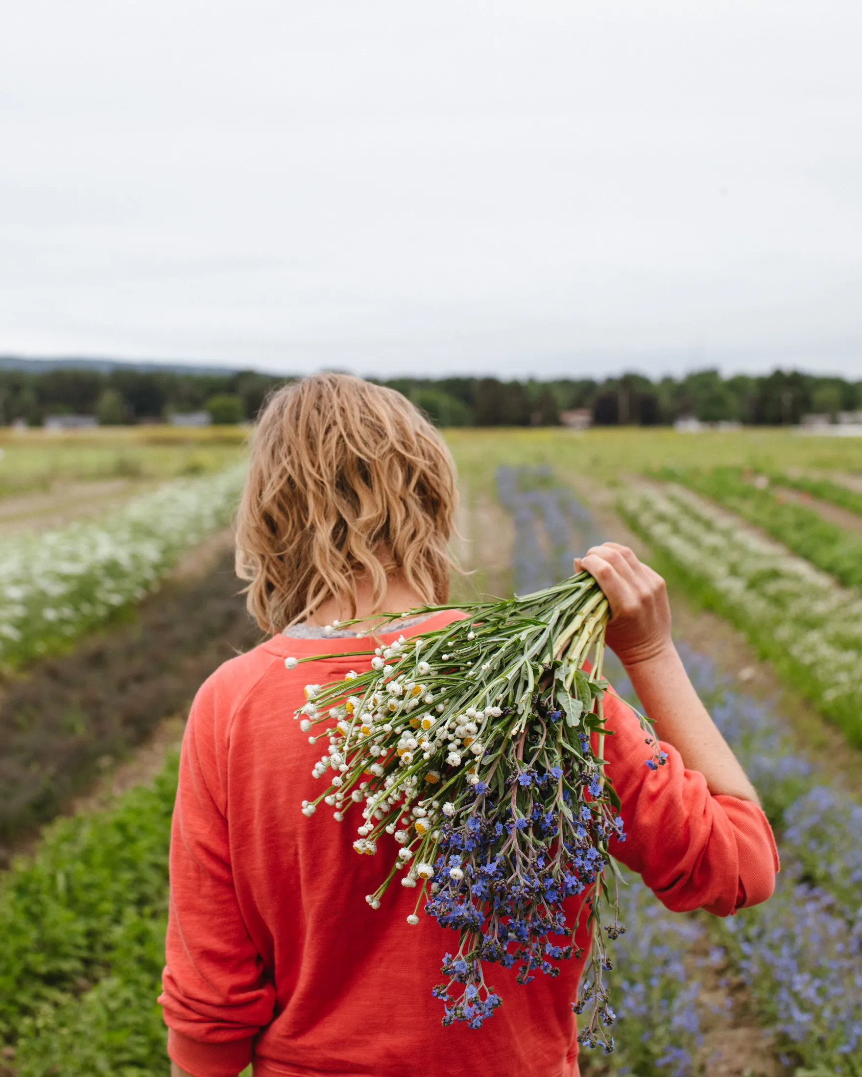 The Locally Grown Flower Industry Is Blooming Thanks to Covid - Bloomberg