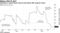 Argentina's central bank reserves dip below IMF program levels