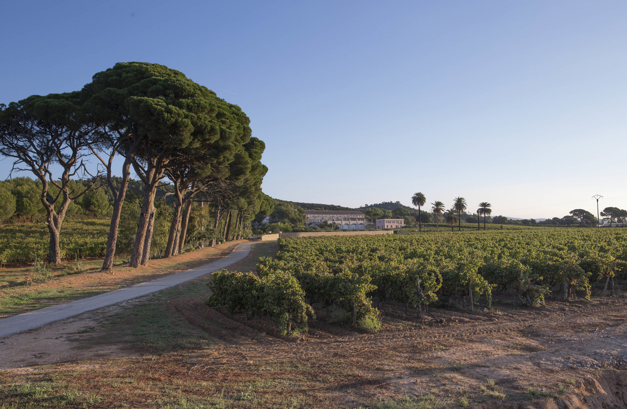 Veuve Clicquot-Owner LVMH Buys Wine Producer Chateau Du Galoupet