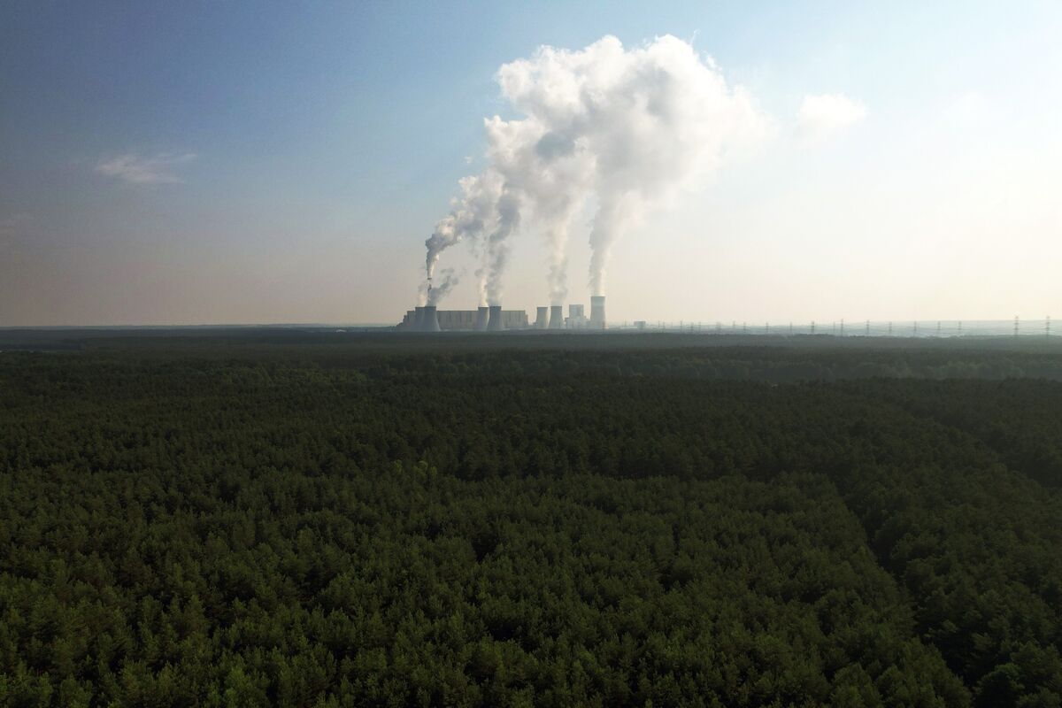 EU Parliament Panel Backs 2040 Emissions-Cut Target of 90%