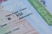Trump’s H-1B Visa Chaos to Hurt India… and US