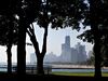 The city skyline stands in the background of trees in Lincoln Park in Chicago.