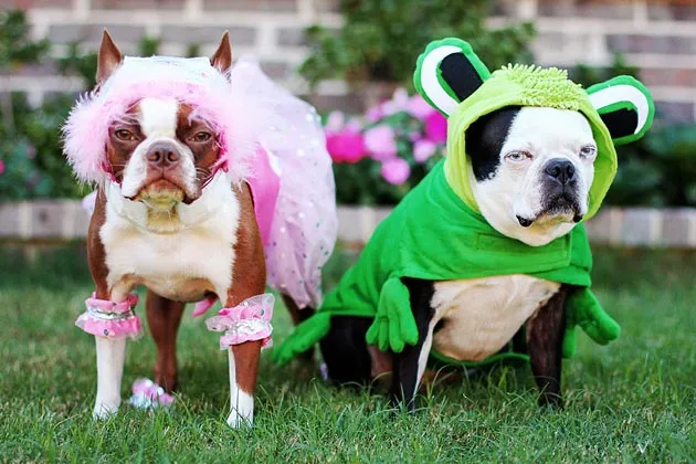 Halloween Is a $6.9 Billion Unstoppable American Cultural Juggernaut