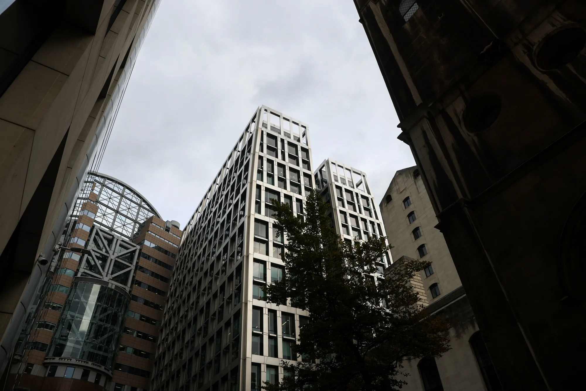 Gingko Tree occupies a floor of this City of London skyscraper.
