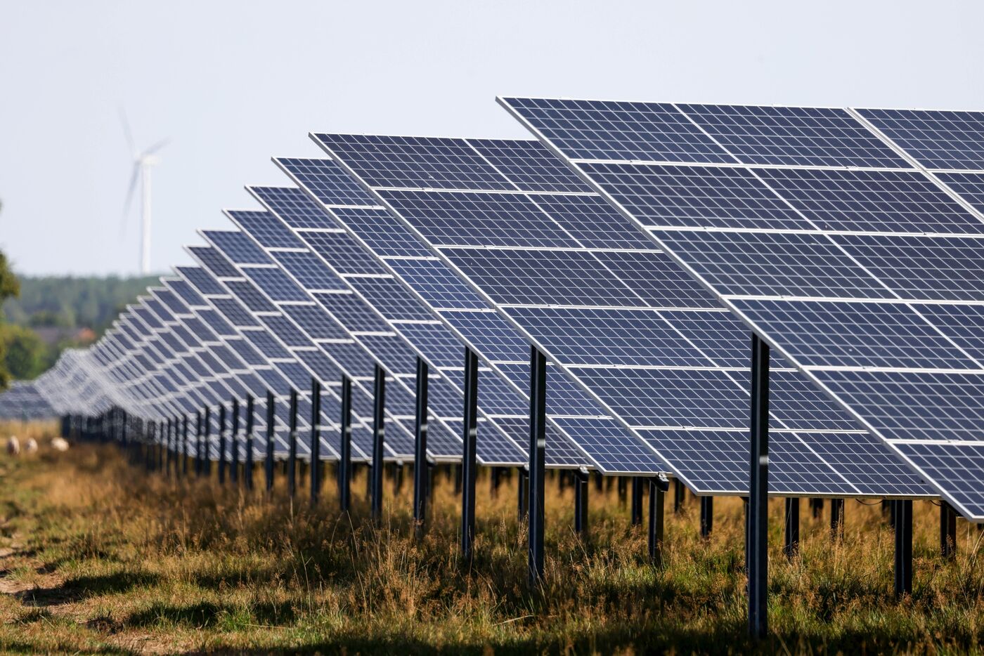 Solar Industry Supply Chain That Will Beat Climate Change Is Already ...