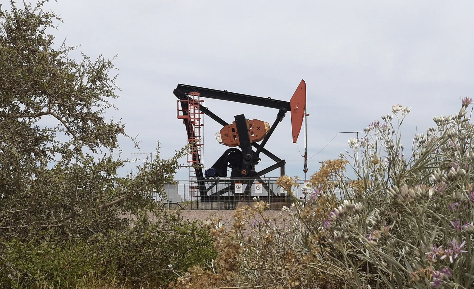 A YPF&nbsp;pumpjack near Vaca Muerta, Argentina, on Dec. 4, 2014.&nbsp;