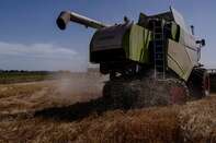 Wheat Harvest As Argentine Crop Advances