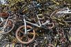 Ride-Sharing Bicycles on the Streets of Shanghai
