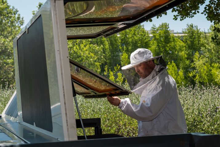 How Robotic Hives and AI Are Lowering the Risk of Bee Colony Collapse