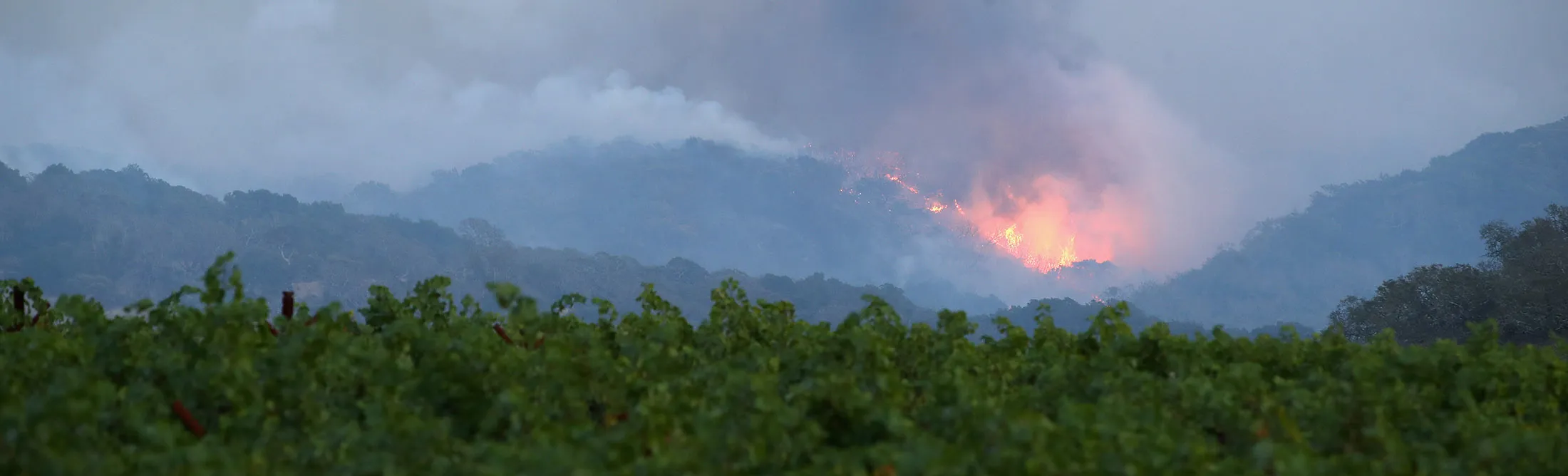 A fire breaks out in the hills above a vineyard at the Atlas Fire on Oct. 10, 2017 in Napa, California.&nbsp;