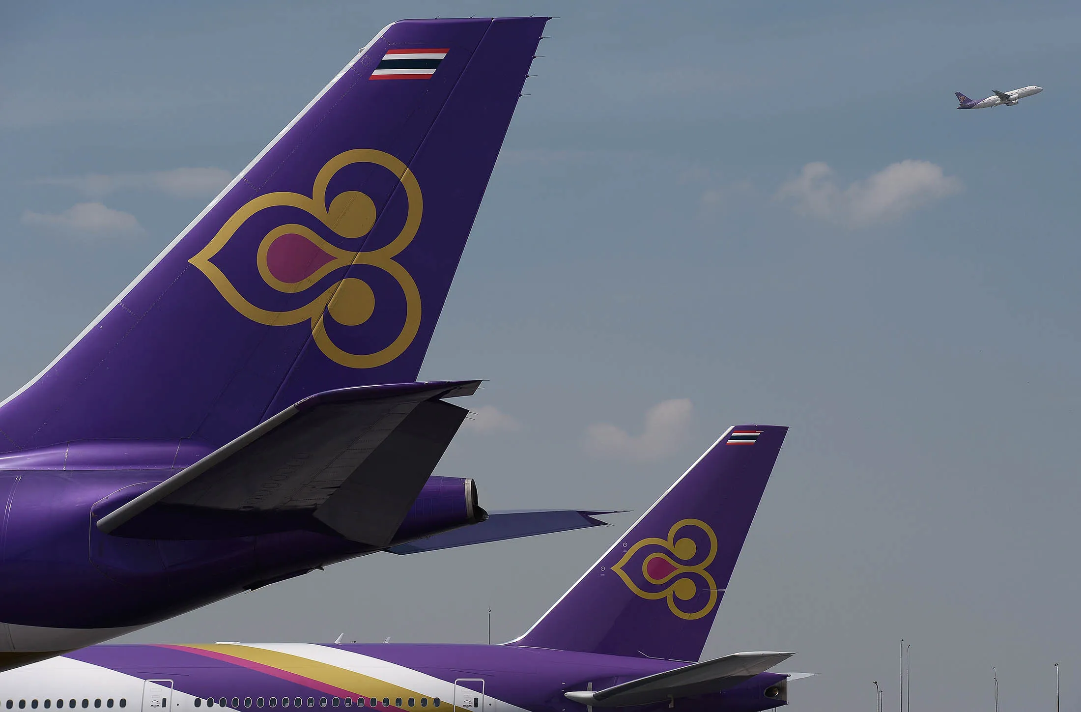Thai Airways aircraft stand at Bangkok's Suvarnabhumi international aiport.
