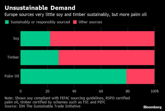 Europe Criticized for Not Doing Enough to Slow Deforestation