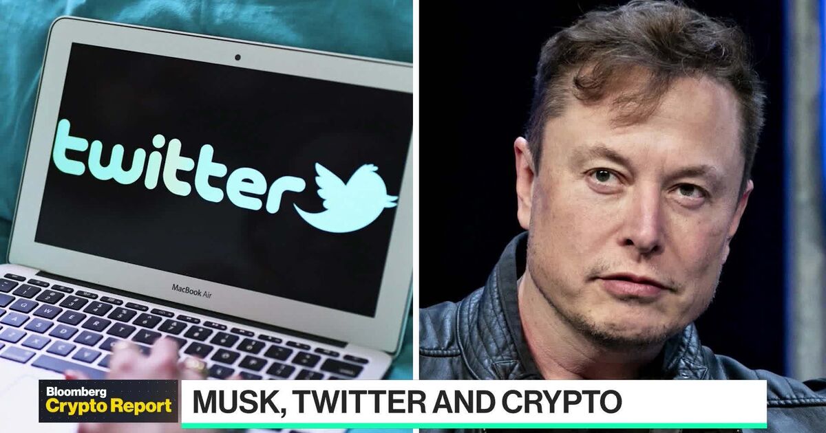 Crypto Report: Musk, Twitter and Decentralized Platforms?
