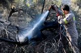Greek Wildfires as Extreme Heat in Europe Intensifies