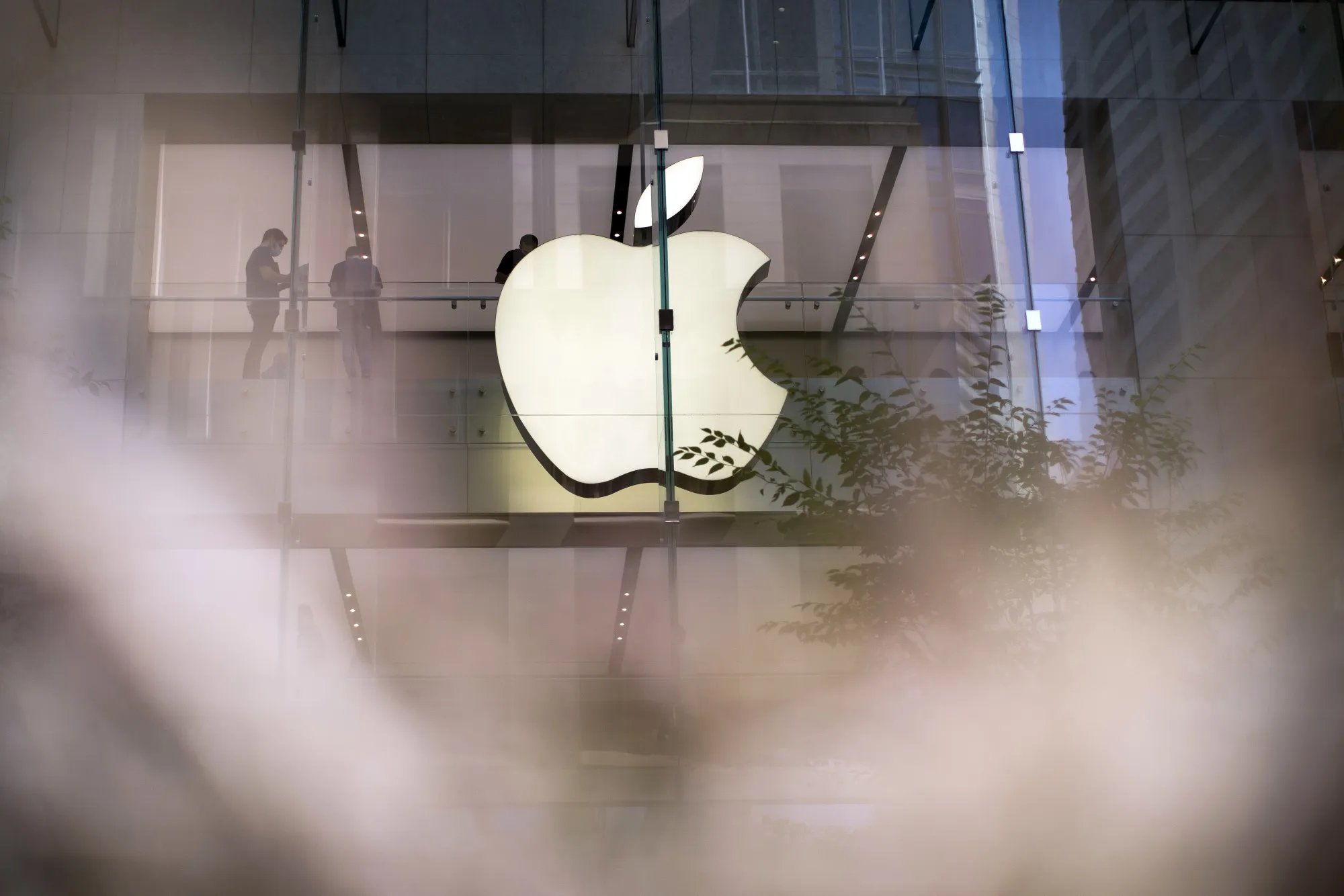 An Apple store in Sydney, Australia.