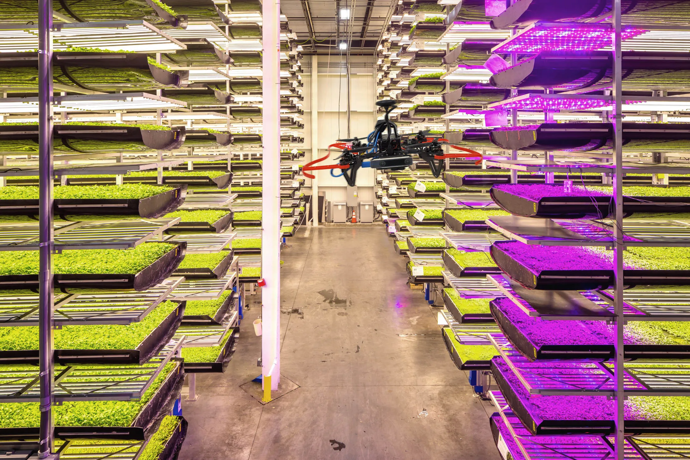 Produce is monitored by drone at an AeroFarms facility.