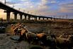 China Tries to Bring Growth to Its Restless Xinjiang Region