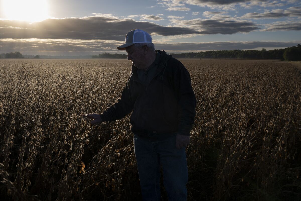 bloomberg.com - The Editorial Board - $12 Billion Farm Bailout Is Only the Latest Cost of Tariffs
