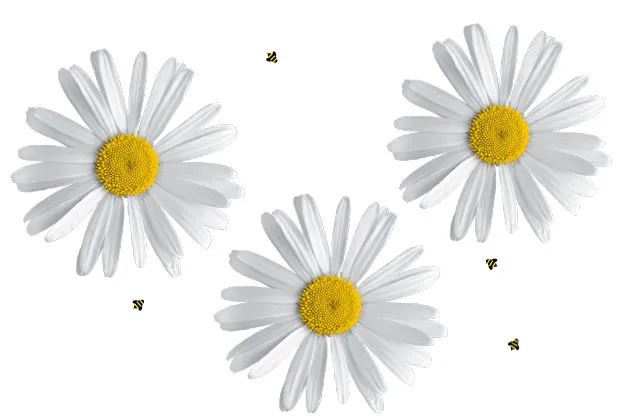 It's a “daisy chain where every group is passing around the same million”