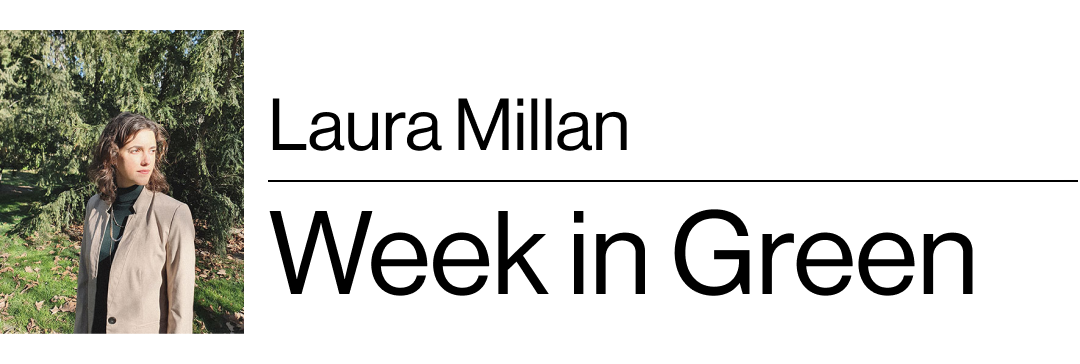 Laura Millan's Week in Green 