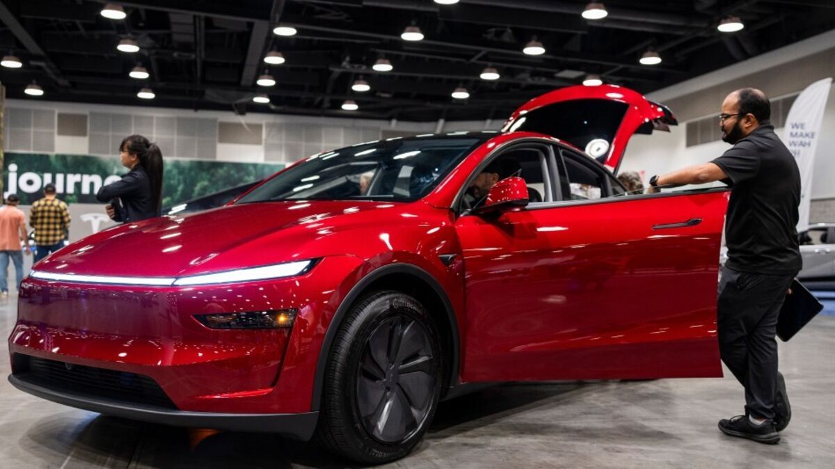 ⚫️ BLOOMBERG: Ross Gerber critica l'acquisto dei nuovi modelli Tesla più economici