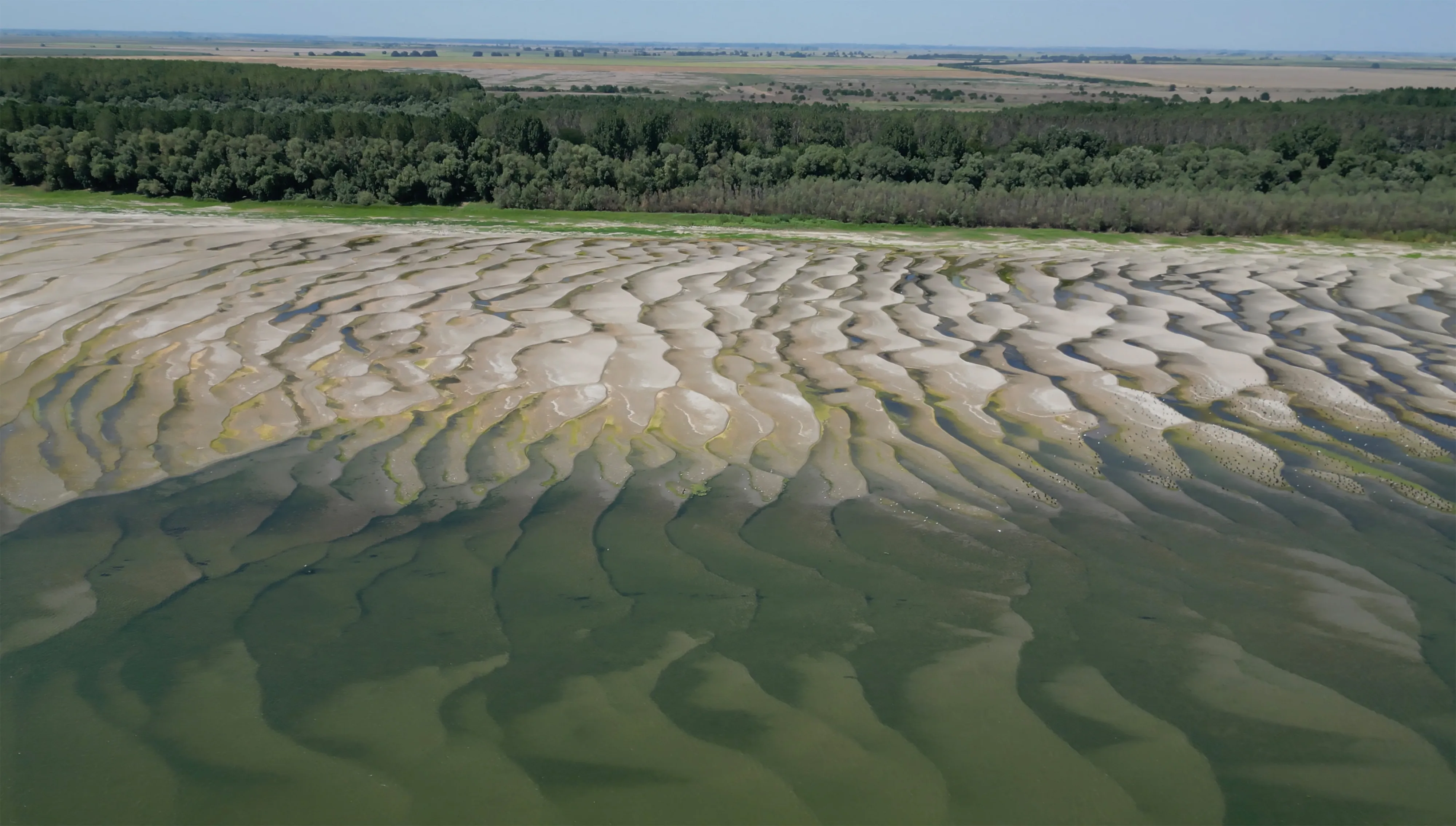 Record low Danube forces full shutdown of Romania's sole nuclear plant; Europe-wide drought shuts reactors across the continent