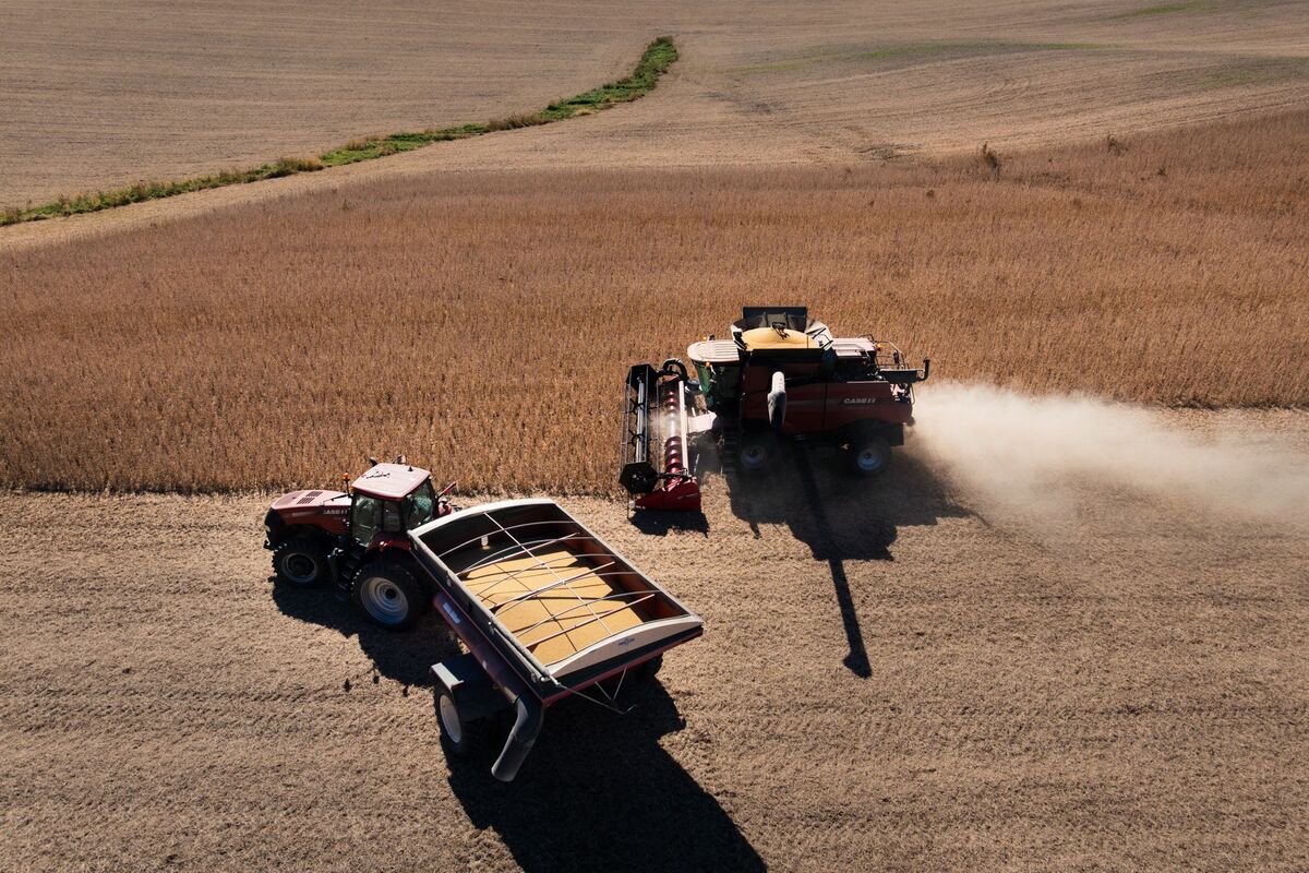 China’s Soybean Pivot Limits Payoff From Any New US Trade Deal