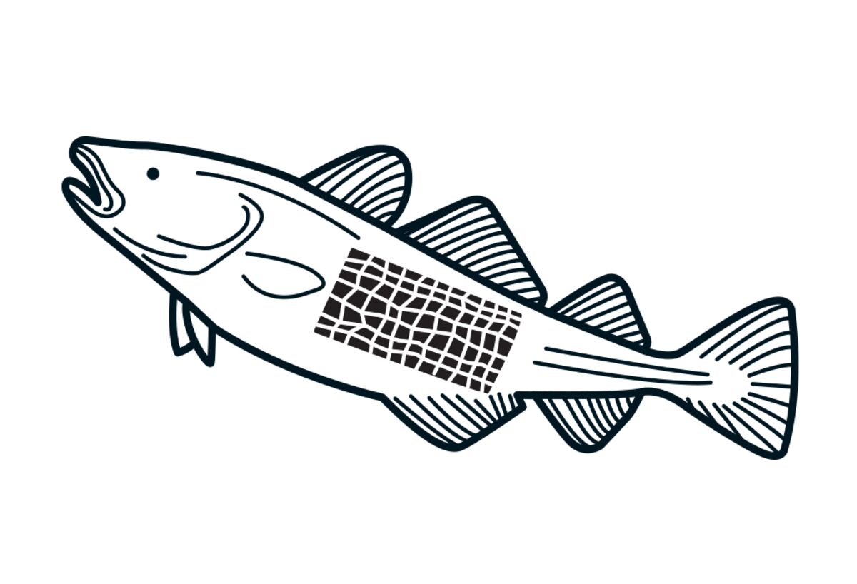 eye doctor clipart black and white fish