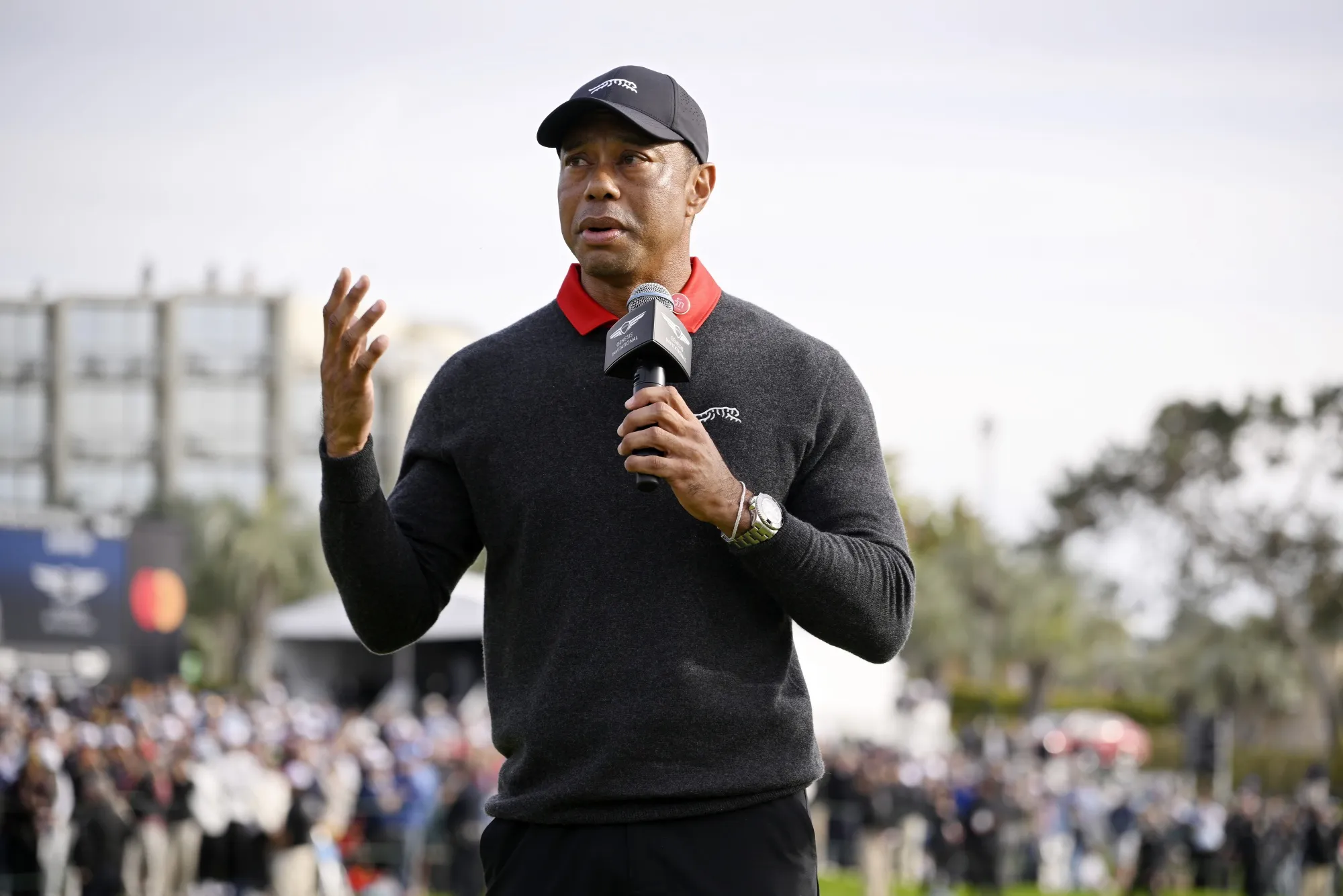 Tiger Woods