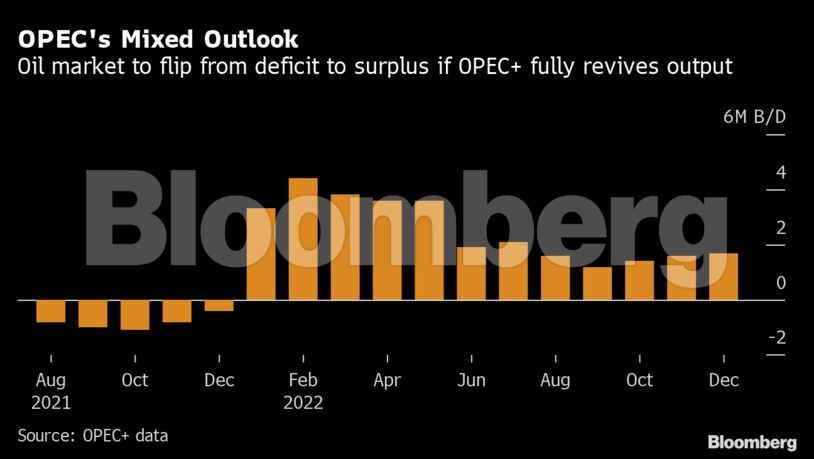 OPEC's Mixed Outlook