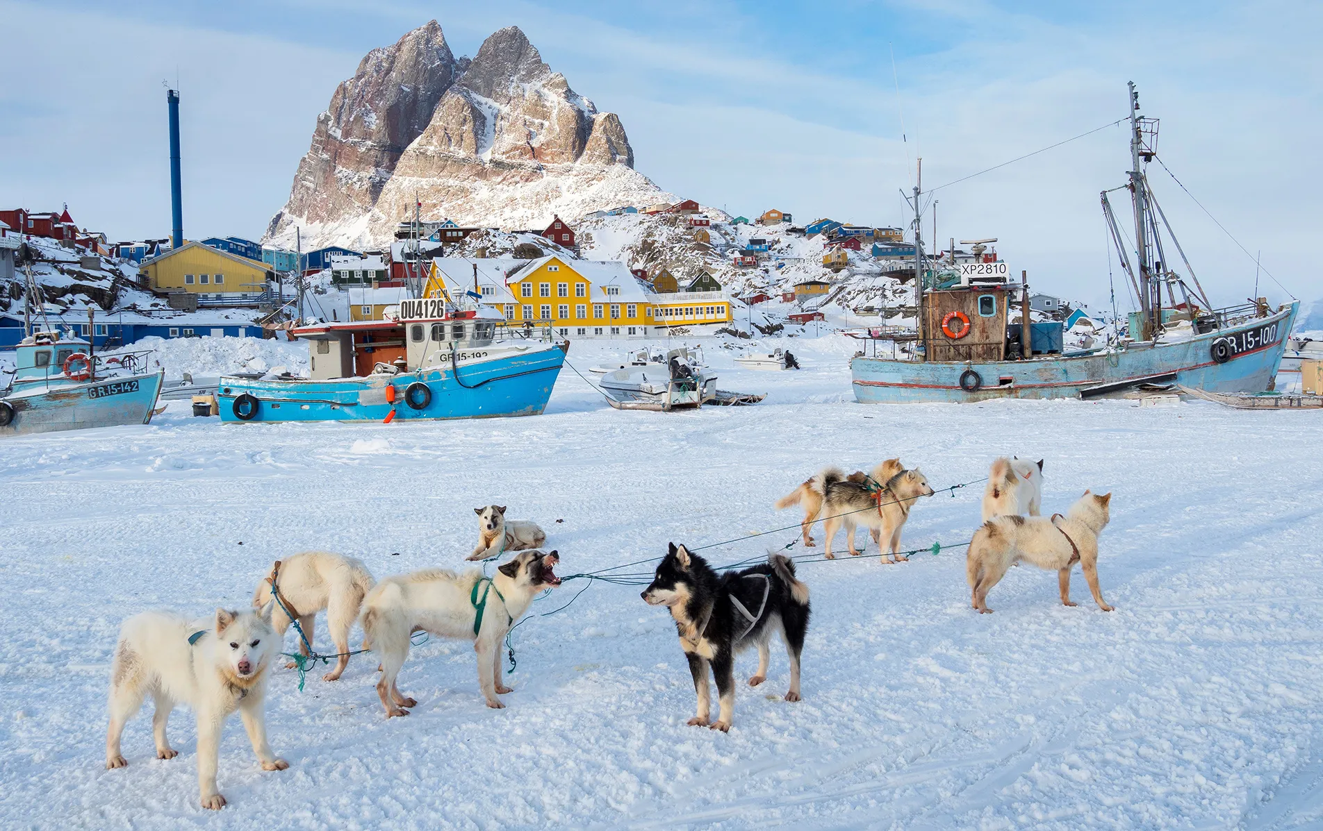 Sled dogs in Uummannaq,&nbsp;Greenland.