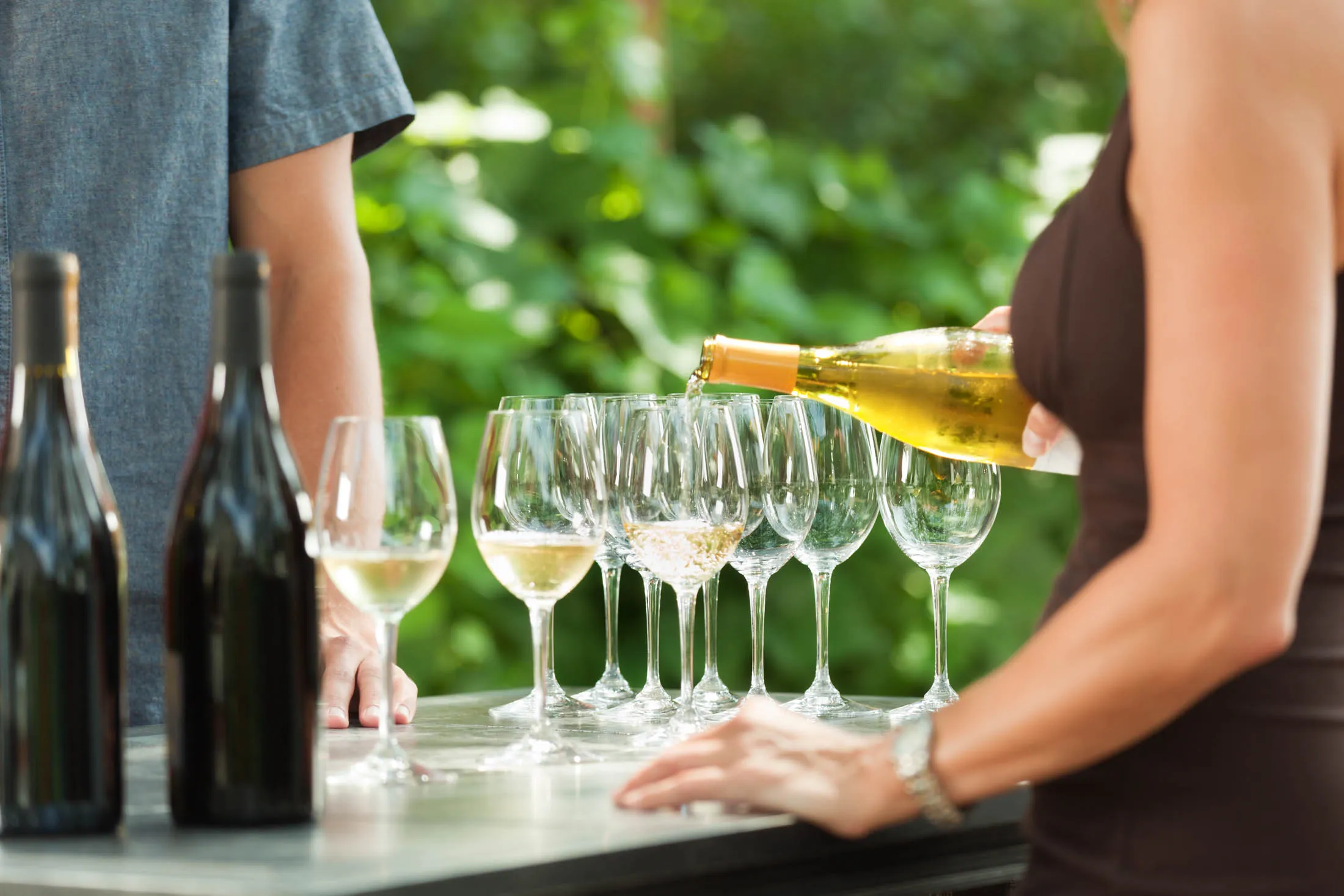 Bartender Pouring White Wine from Bottle for Outdoor Winery Tasting