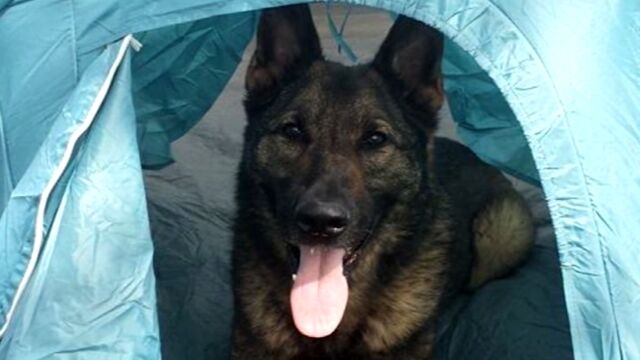 Bloomberg business news