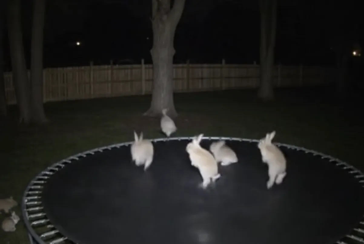 HEXA（ヘキサ） | 日本最大級のNFTマーケットプレイス, image size:1202x806