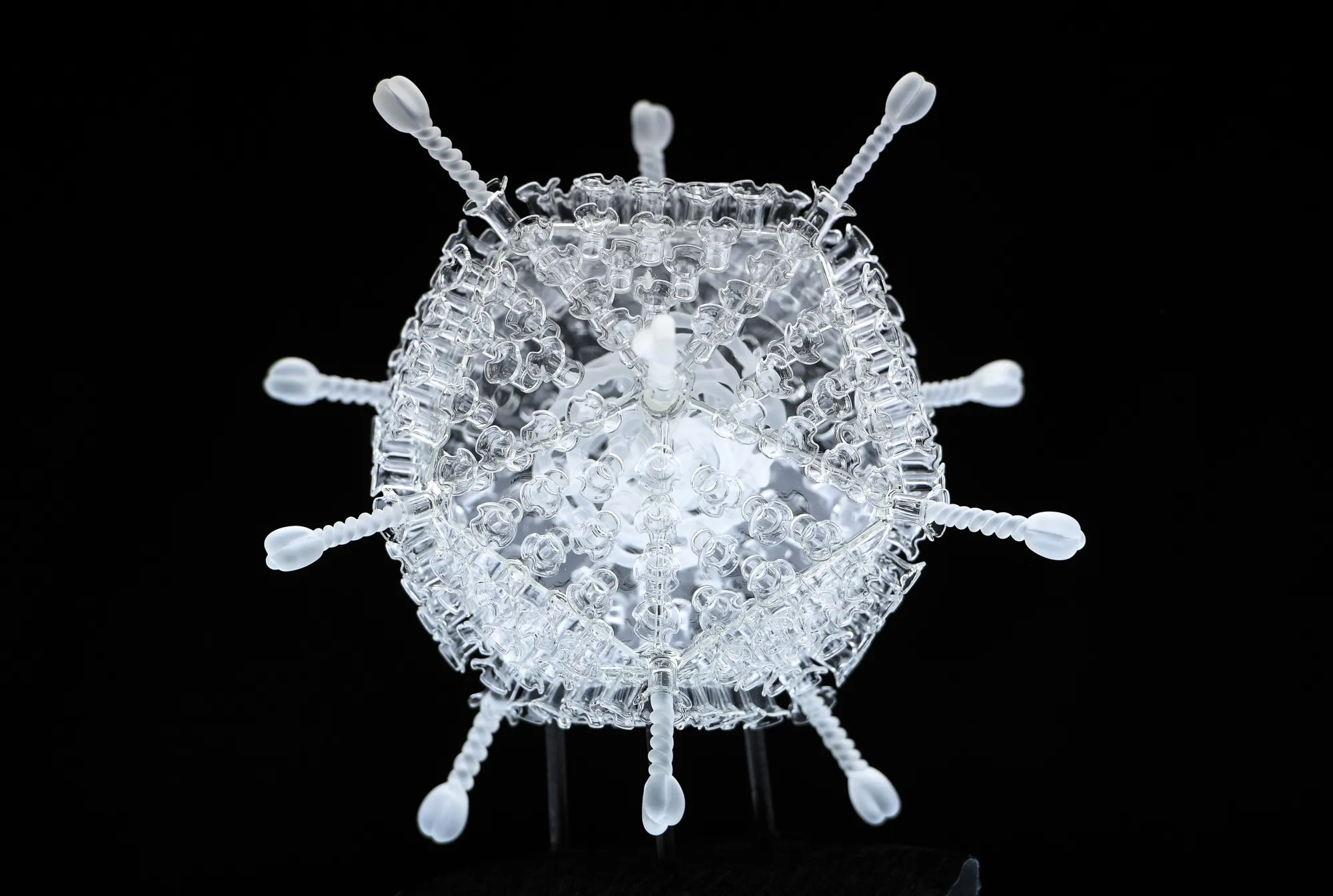 Artist Luke Jerram's glass sculpture of the Oxford-AstraZeneca coronavirus vaccine.