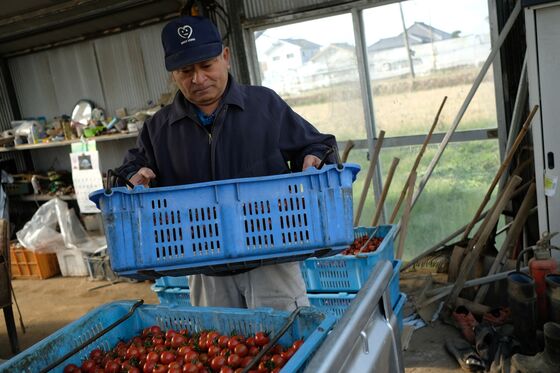 Humans Are Beating Robots to the Jobs on Japanese Farms