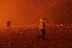 Wildfires Have Rendered Our World Unrecognizable