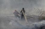 Indonesian firefighters battle a forest fire in Kampar, Riau on Sept. 23.