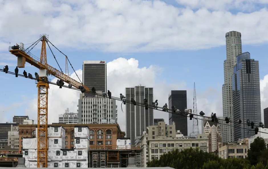 Birds sit on a telephone line near Skid Row Housing Trust's 102 pre-fabricated modular apartments under construction in Los Angeles.