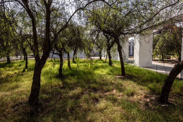 Green areas and trees help cool the surroundings. CartujaQanat project in Cartuja Island, Seville, Spain, on Tuesday 04, 2023