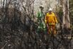 Hundreds Of Victorian Homes Destroyed By Great Ocean Road Bushfire