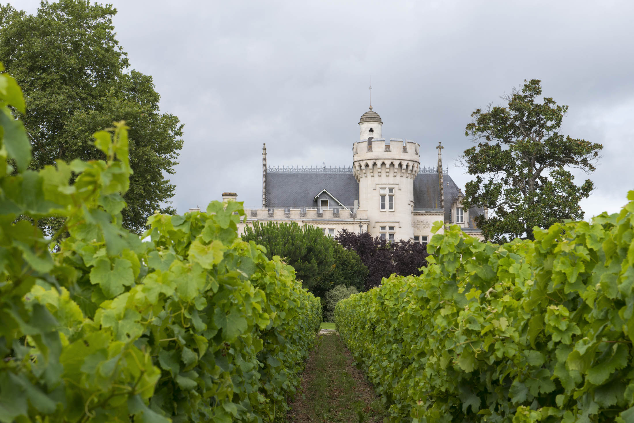 Legendary Bordeaux Chateaux Are Now Open for Meals and Sleepovers -  Bloomberg